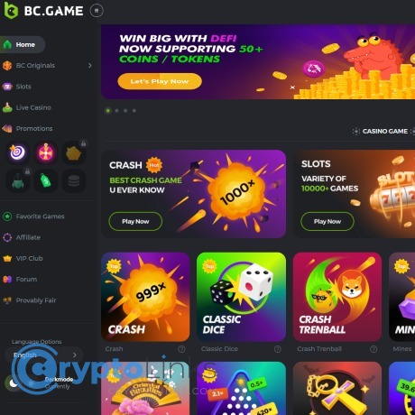 Exploring the BC.Game Gambling Platform A Comprehensive Review