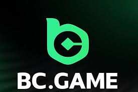 BC.Game The Rise of Online Gaming in the United States