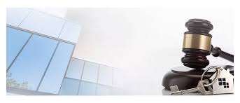 Global Insights on Legal Team International