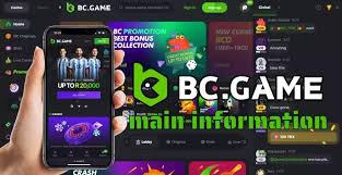 Understanding the Mechanics of BCStavka Casino A Comprehensive Guide
